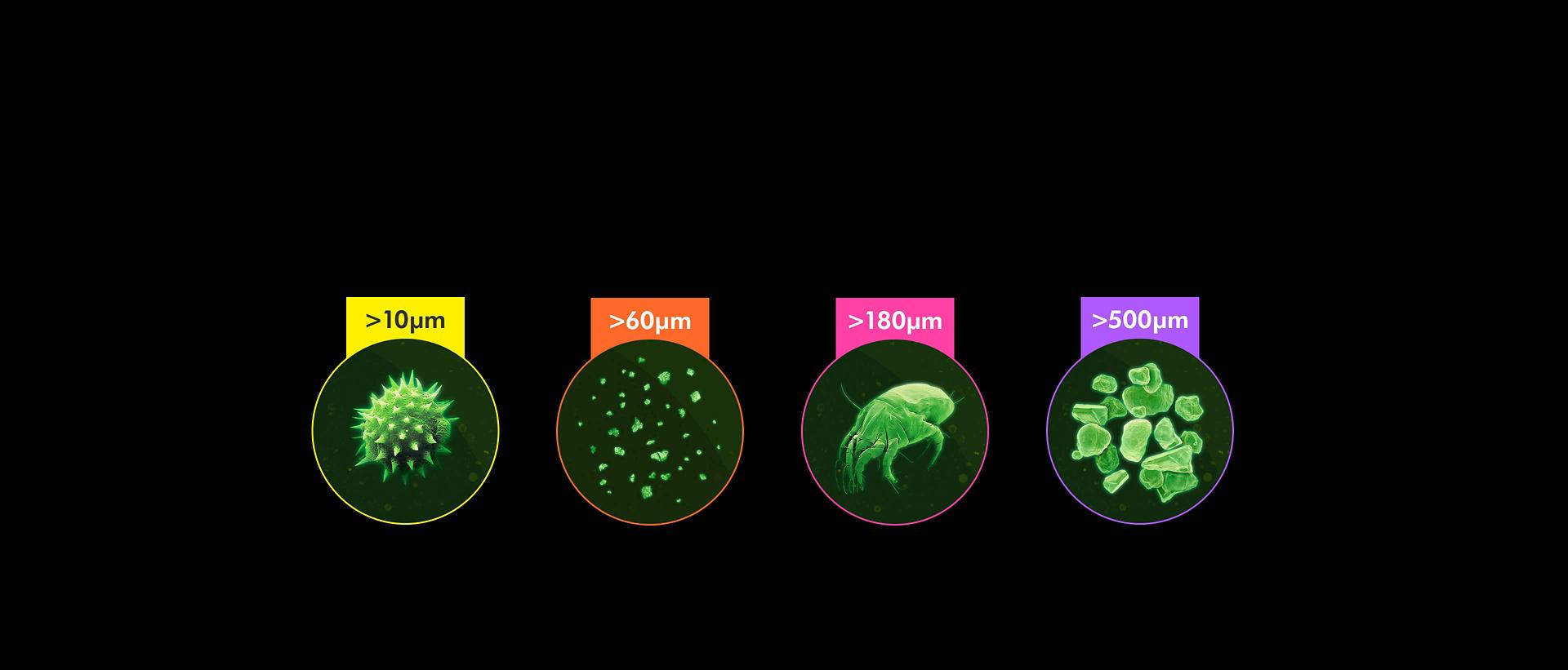 The four categories of particle counted by the vacuum