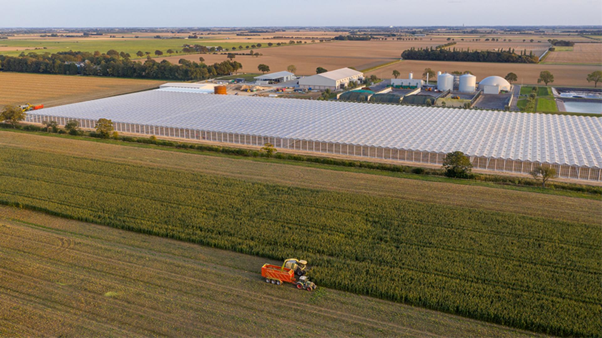 Aerial view of Dyson Farming greenhouses in Lincolnshire